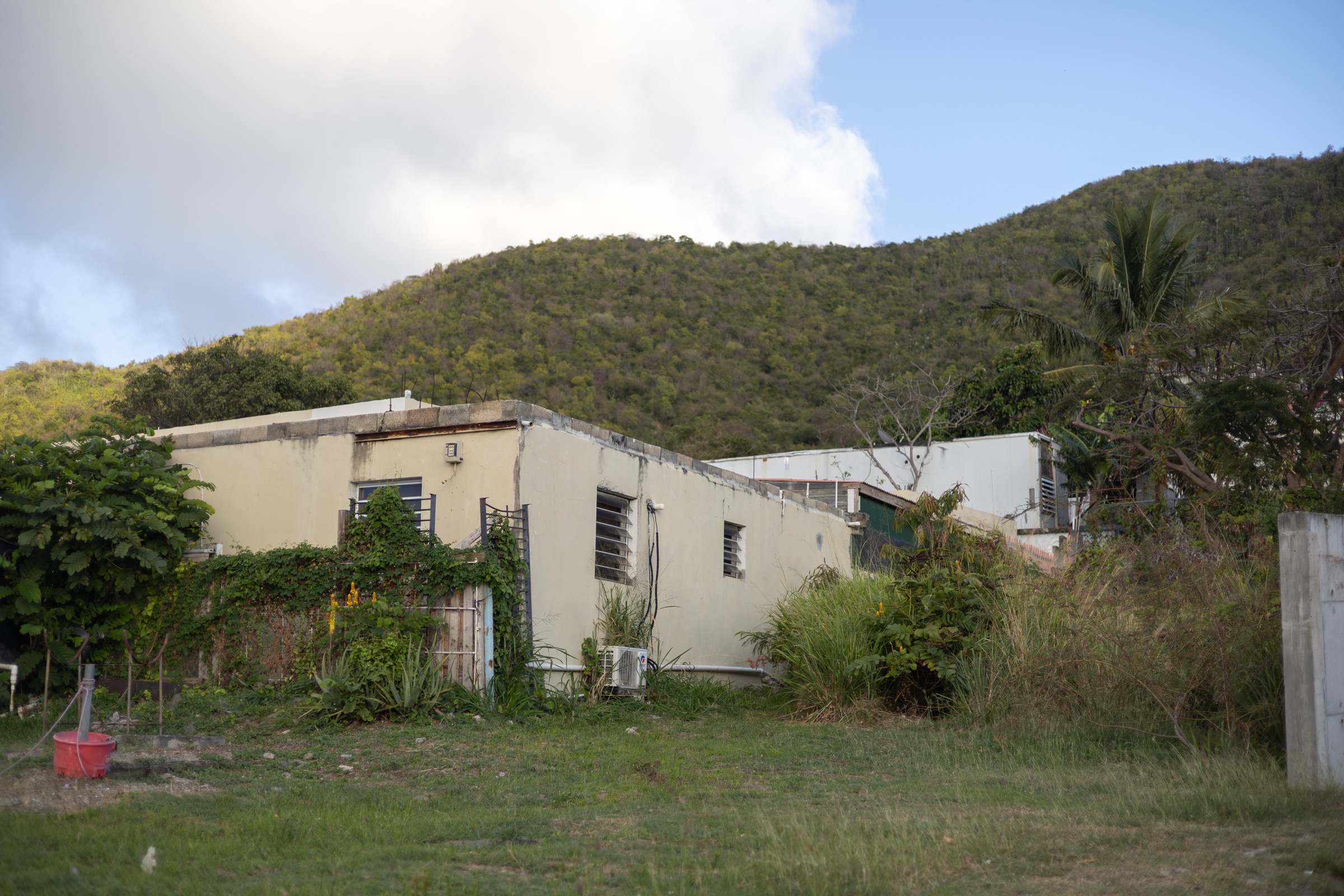 Weathered house surrounded by vegetation in Saint-Martin