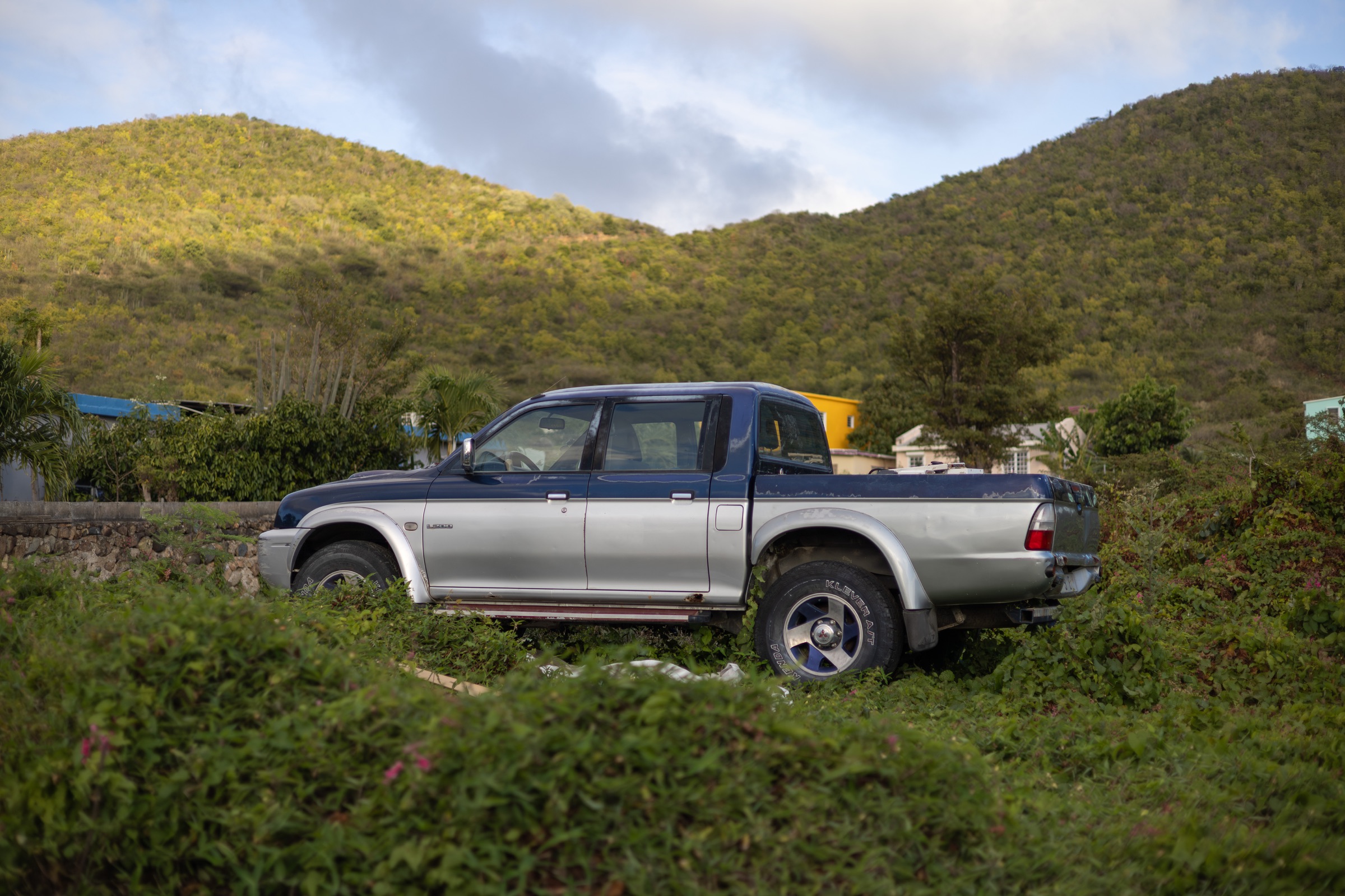 Abandoned car hidden in tropical vegetation in Saint-Martin
