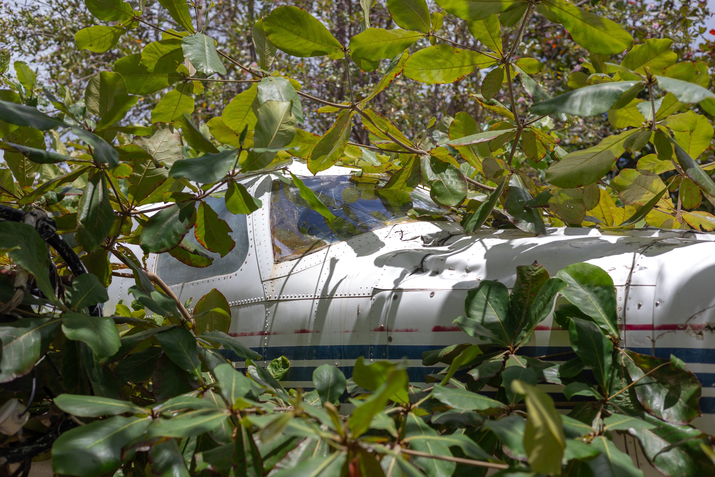 Piper PA-31T Cheyenne II preserved in Saint-Martin
